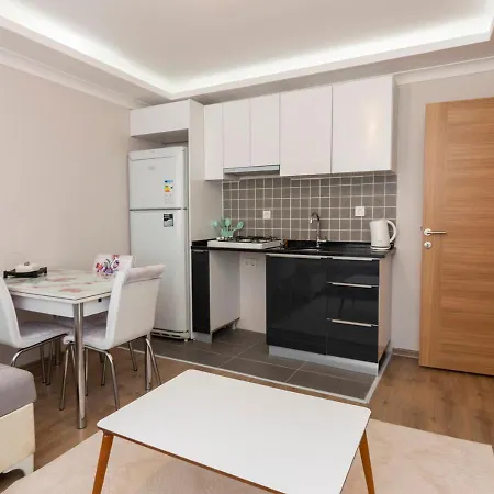 Comfortable House In Kagithane, *